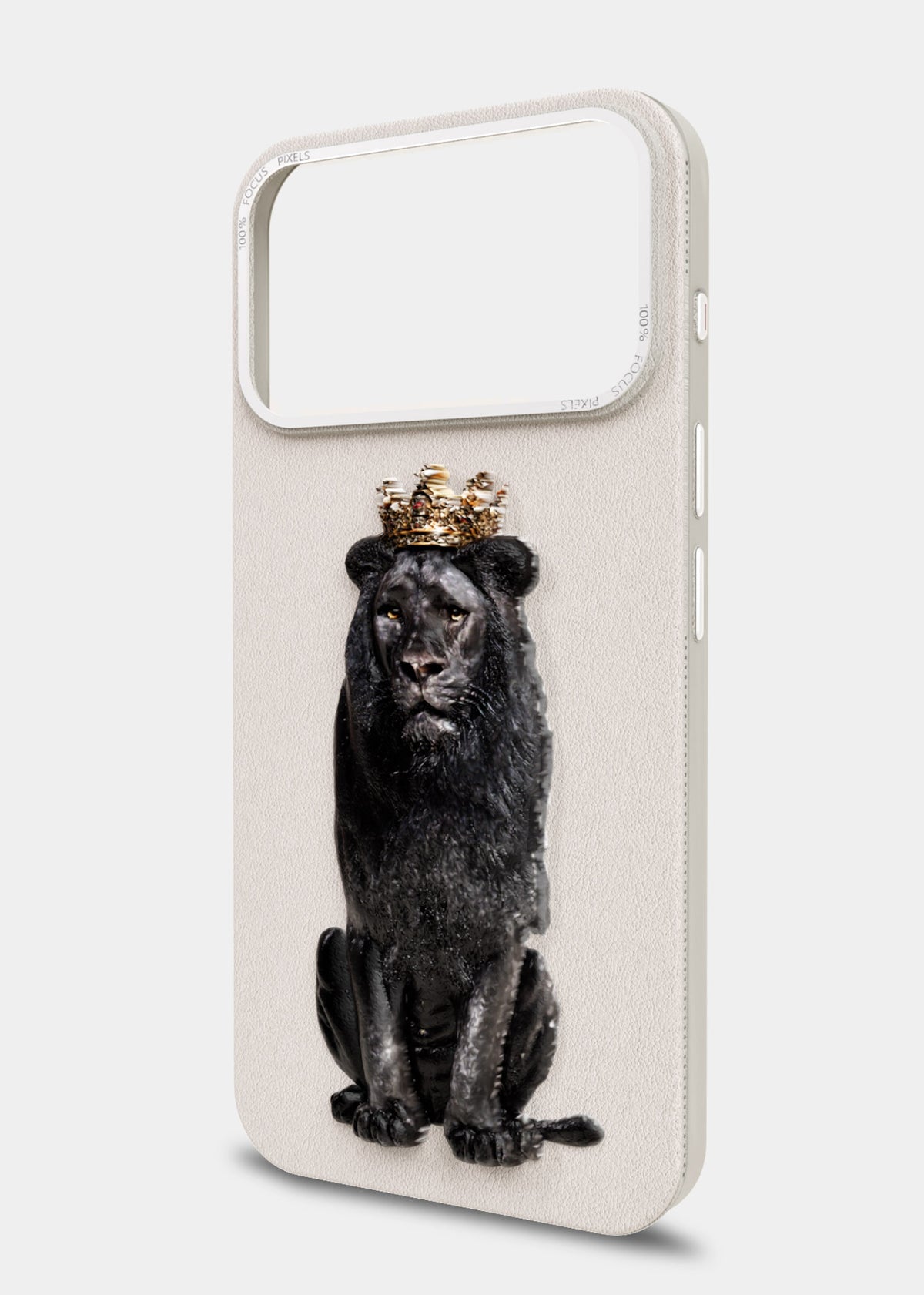 Black Lion King