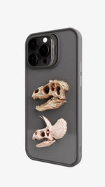 Dinosaur skull