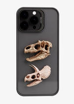 Dinosaur skull
