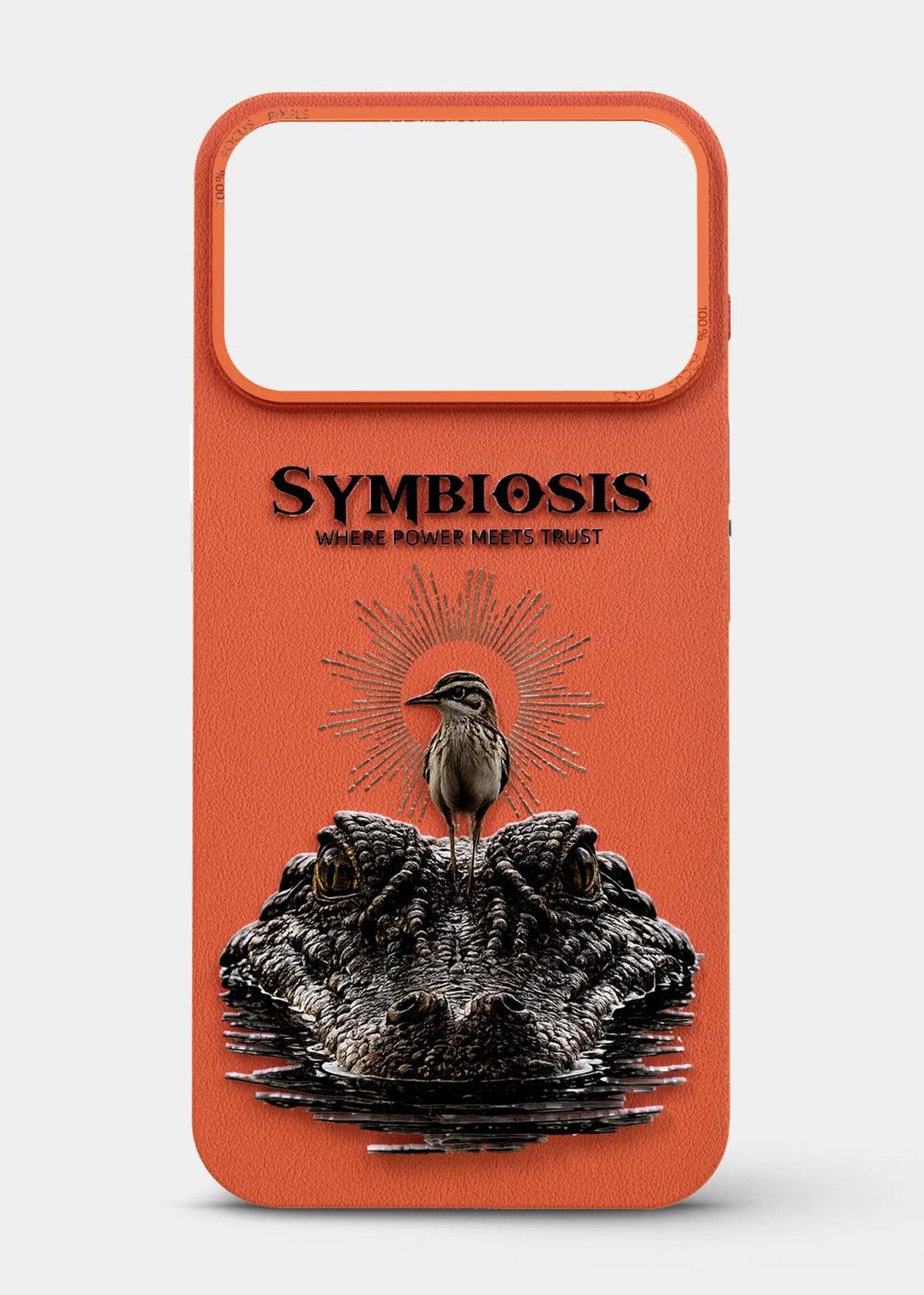 Symbiosis