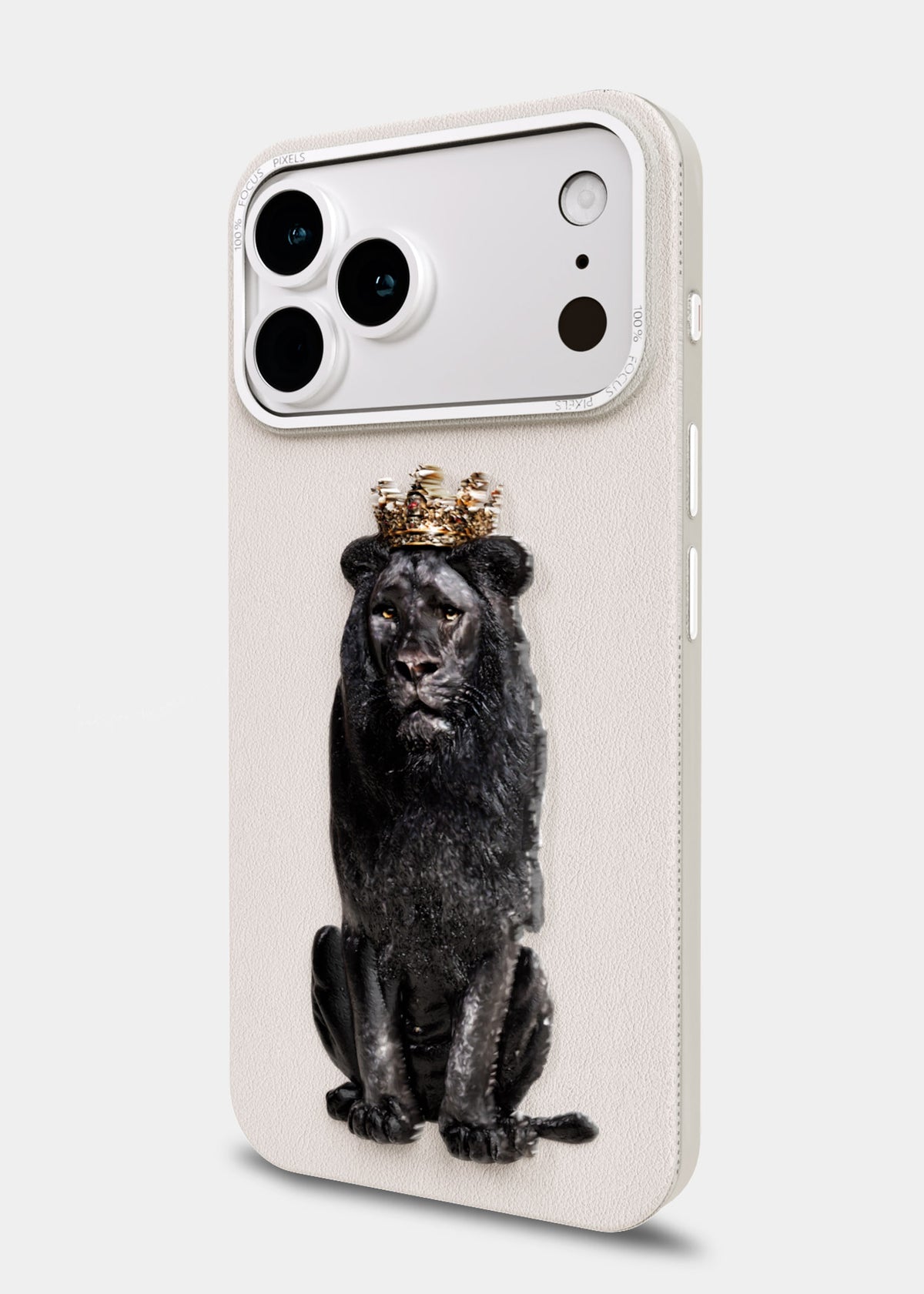 Black Lion King