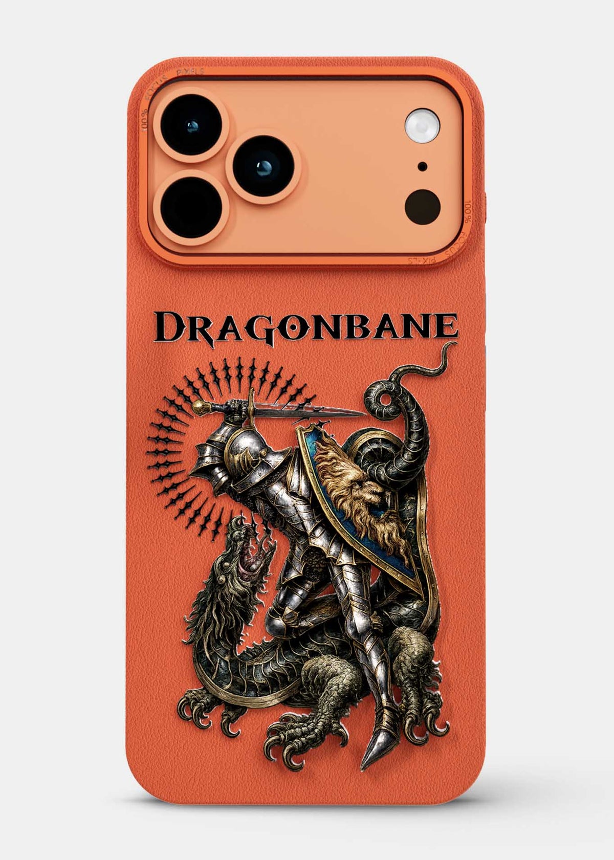Dragonbane Paladin