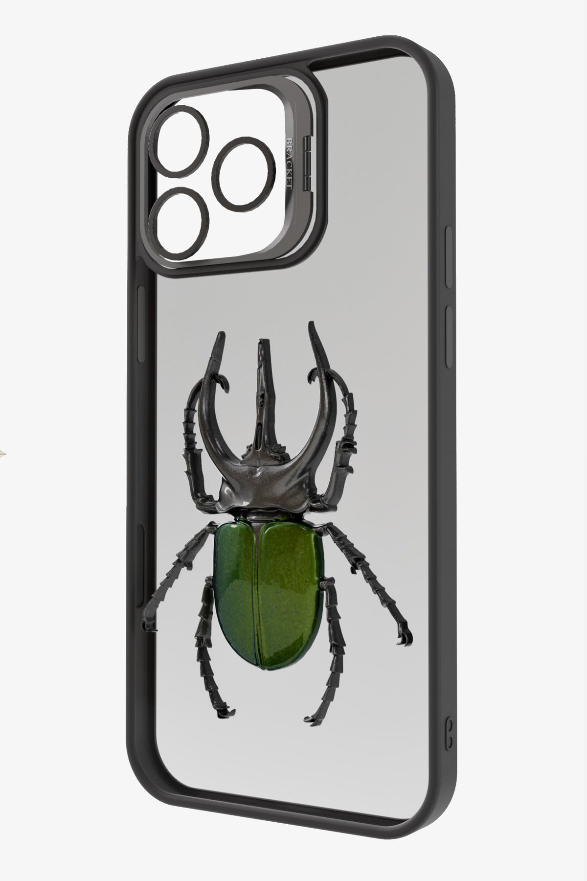 Chalcosoma atlas