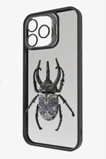 Chalcosoma atlas