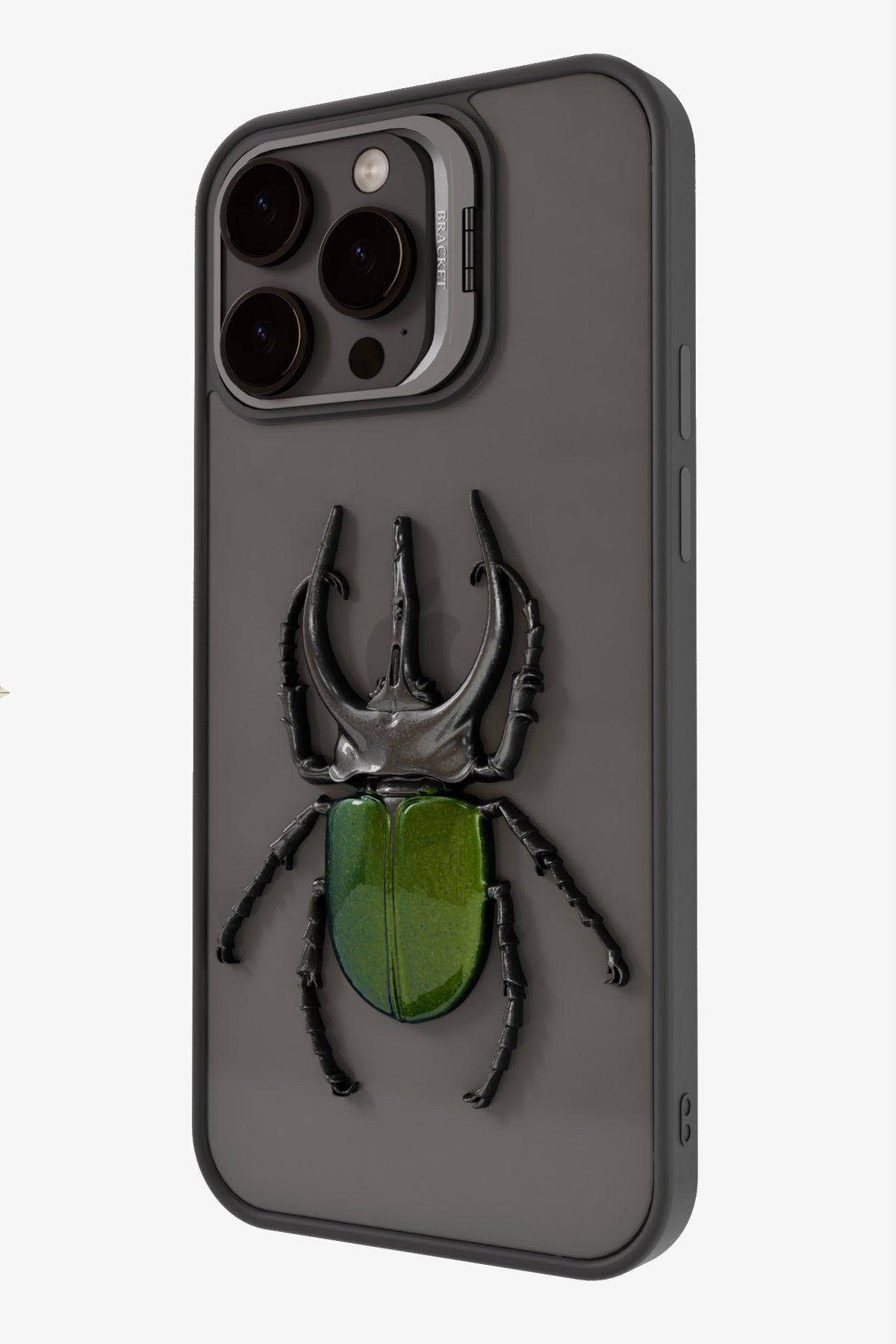 Chalcosoma atlas