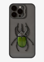 Chalcosoma atlas